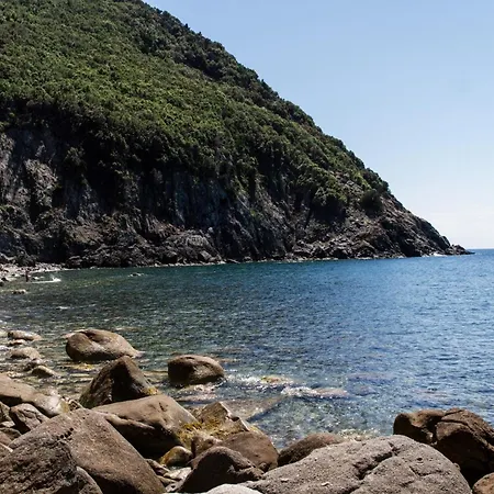 Tatil Evi Il Timo *