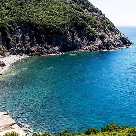 Tatil Evi Il Timo *