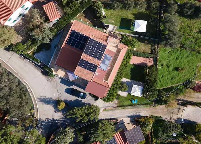 Tatil Evi Il Timo