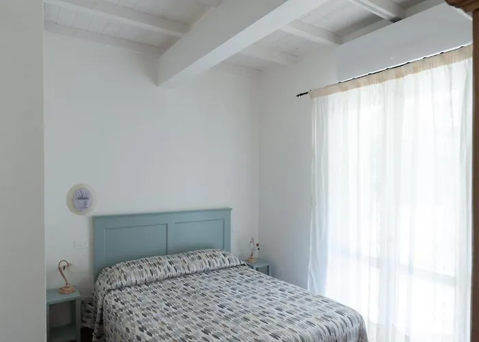 Tatil Evi Il Timo