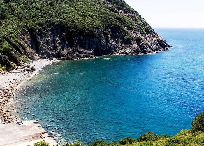Tatil Evi Il Timo *